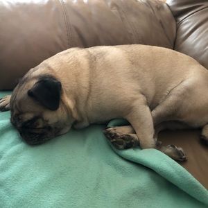 Meet your Posher, Samantha